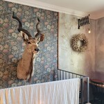 256nicom - 