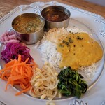 256nicom - curryハーフサイズ(スパイシーキーマ∔凄く辛いサバ)