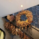 256nicom - 