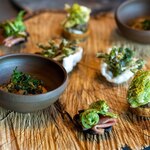 TSUSHIMI - 2023.4 山菜（山梨 韮崎）